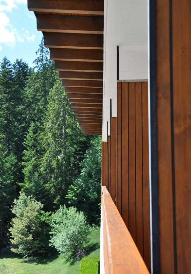 Hotel Historique Chez Elsy - Crans-Sapins Exterior photo